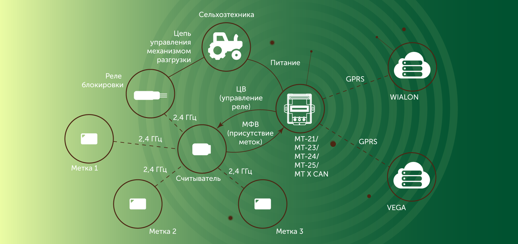 Сайт интернета вега